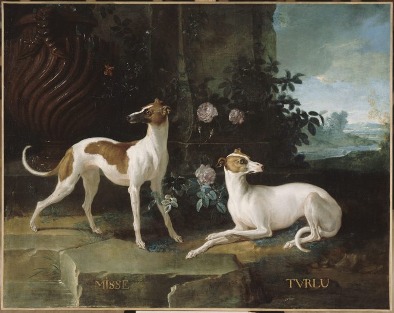 Misse et Turlu de Jean Baptiste Oudry - château de Fontainebleau